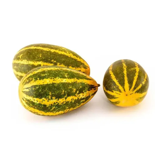 Cucumber Yellow 500g India